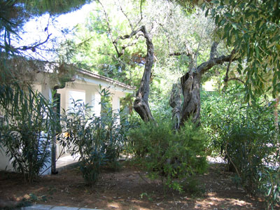 La cura del verde all'interno del Residence